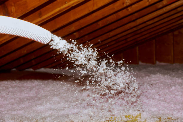 Best Spray Foam Insulation in Youngtown, AZ